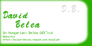 david belea business card